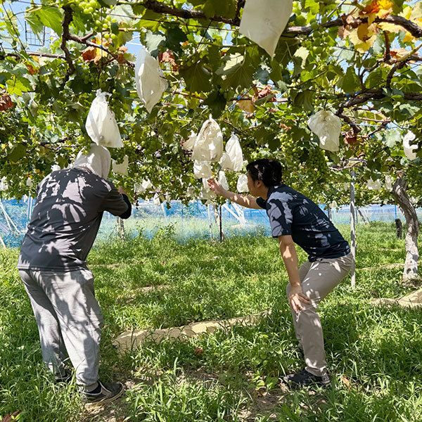 渡辺そういちろう 公式Instagram6